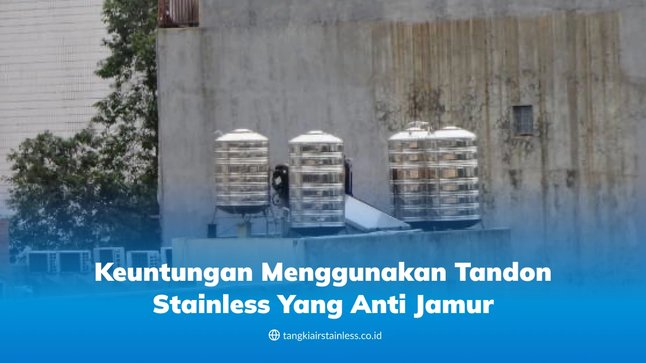 Keuntungan Menggunakan Tandon Stainless yang Anti Jamur