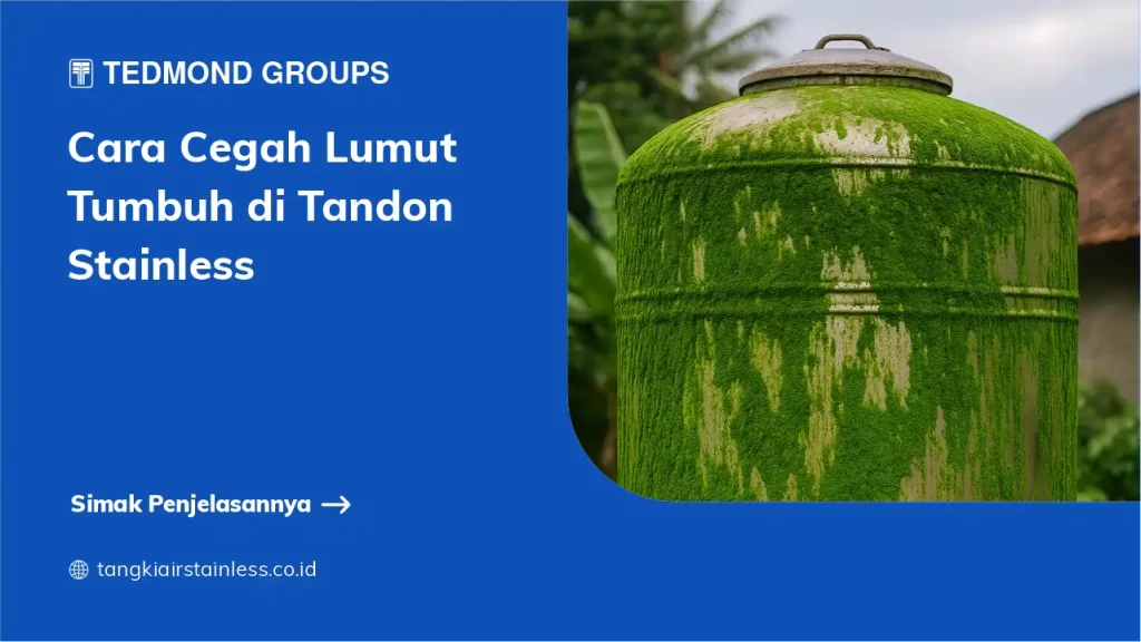 Cara Cegah Lumut Tumbuh di Tandon Stainless
