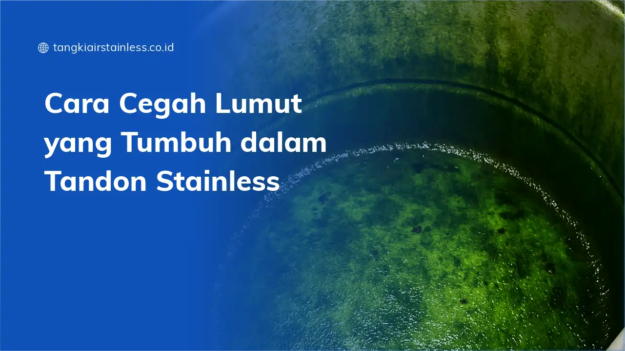 Cara Cegah Lumut yang Tumbuh dalam Tandon Stainless