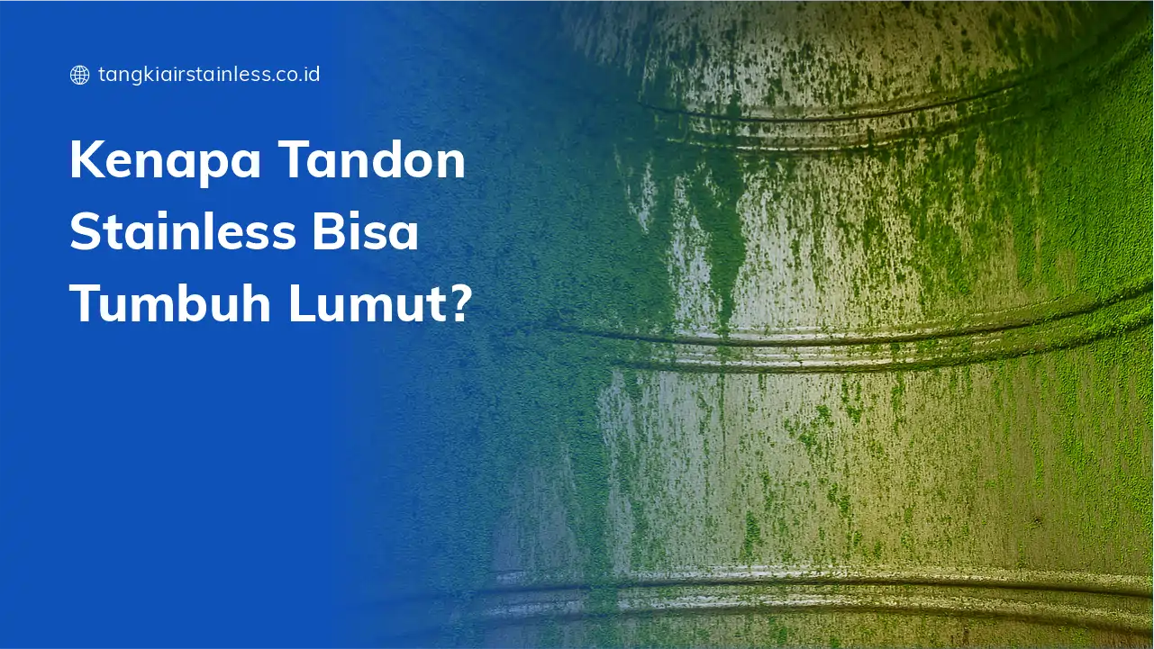 Kenapa Tandon Stainless Bisa Tumbuh Lumut?