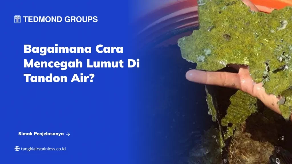 Bagaimana Cara Mencegah Lumut di Tandon Air?