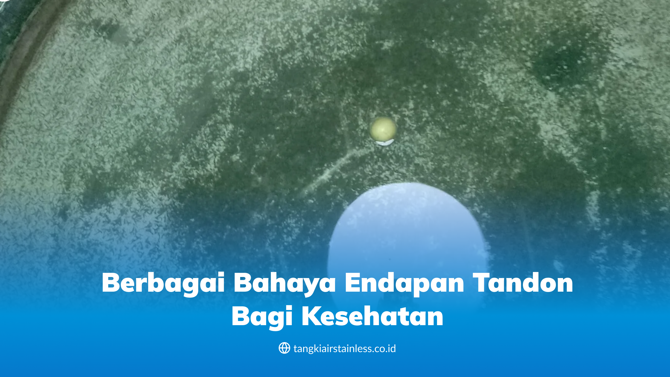 Berbagai Bahaya Endapan Tandon Bagi Kesehatan