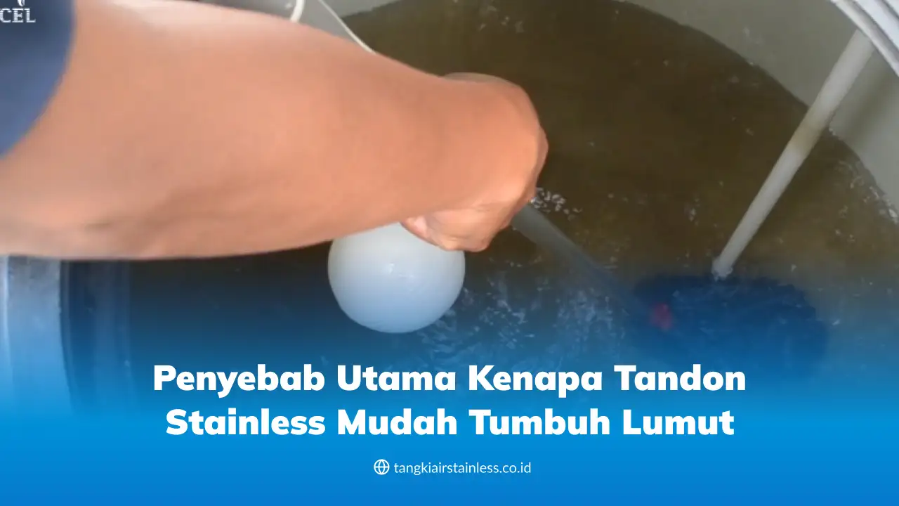 Penyebab Utama Kenapa Tandon Stainless Mudah Tumbuh Lumut