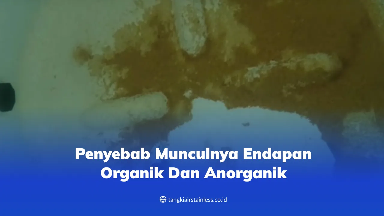 penyebab_munculnya_endapan_organik_dan_anorganik_1x
