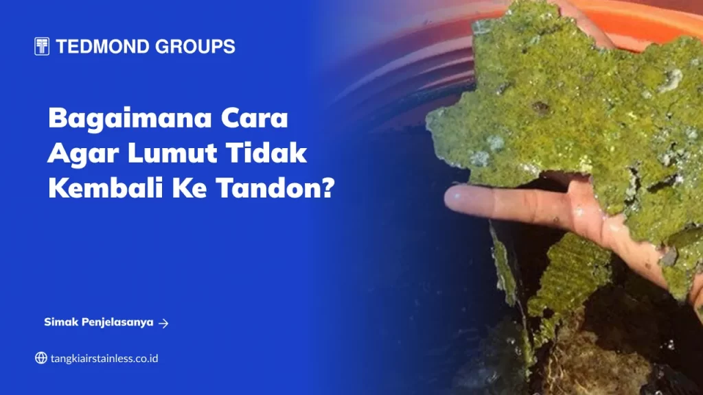 Bagaimana Cara Agar Lumut Tidak Kembali ke Tandon?
