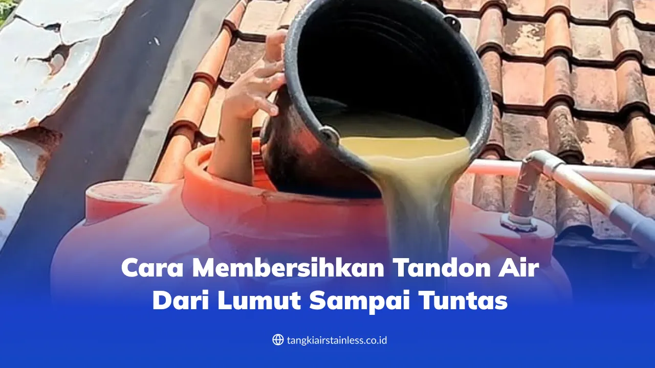 Cara Membersihkan Tandon Air dari Lumut Sampai Tuntas